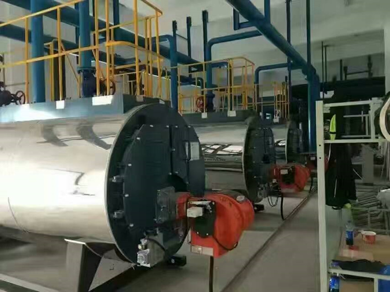 China Customized WNS Serious Gas Fired Steam Boiler