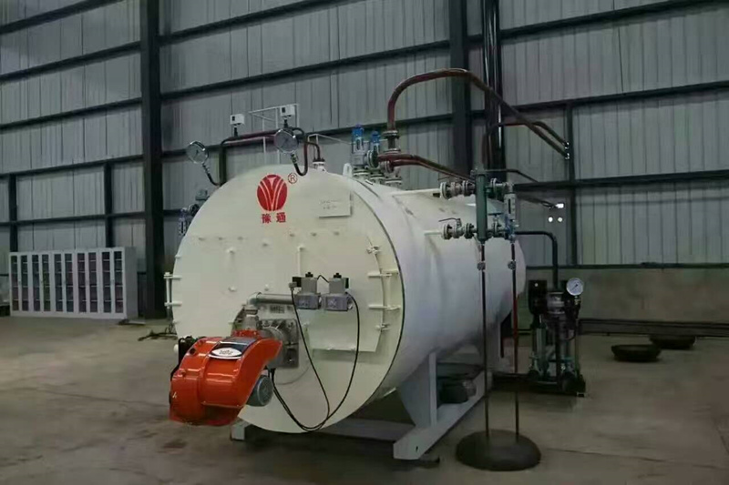 China Customized WNS Serious Gas Fired Steam Boiler